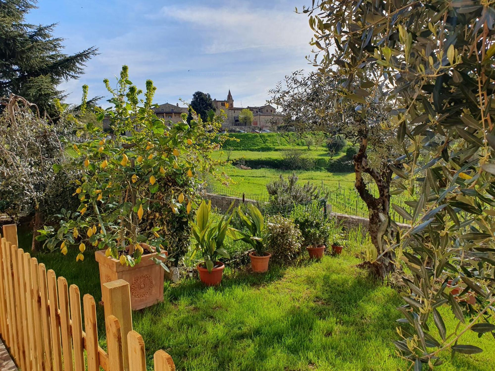 Casa Guardiavigna In Chianti Διαμέρισμα San Gusme Εξωτερικό φωτογραφία