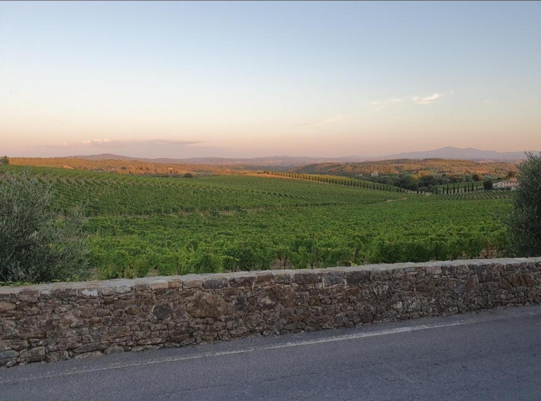 Casa Guardiavigna In Chianti Διαμέρισμα San Gusme Εξωτερικό φωτογραφία